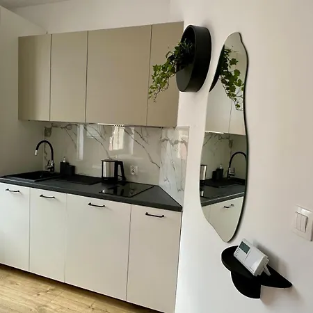 Trinity ビィドゴシュチュ