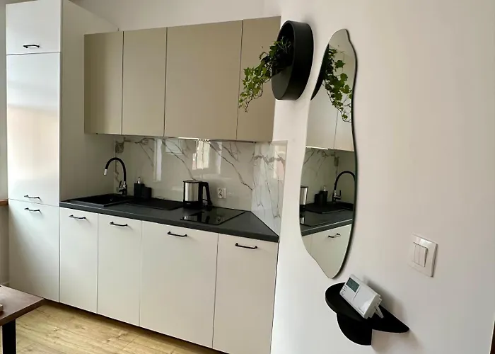 Trinity 비드고슈치